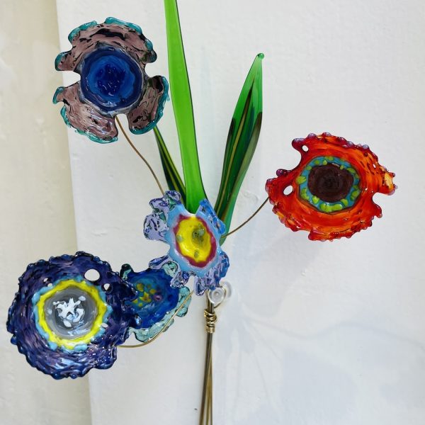 passiflore
